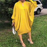Plus Size Autumn Winter Loose Casual Dress Women Clothing
