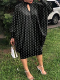 Plus Size Autumn Winter Loose Casual Dress Women Clothing