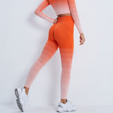 Gradient Sports Long Sleeve Trousers Suit Fitness Running Yoga Long Sleeve Tights