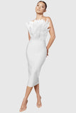 Brown Rose Red Tube Top Feather Backless Slim Fit Medium Length Bandage One Piece Dress