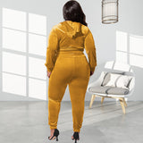 Plus Size Autumn Elastic Velvet Slim Fit Two Piece Set  Women Suit