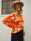 Autumn Winter Women Printed Sweater Pullover Floral Plus Size Sweater Women