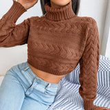 Autumn Winter Casual Twist Long Sleeve Turtleneck cropped Sweater Women Clothing