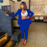 Office Lady Solid Colors Blazer Women Single Button Plus Size Casual Commute Pant Suits 2021 Business Suit Long Sleeve Blazers|Pant Suits|